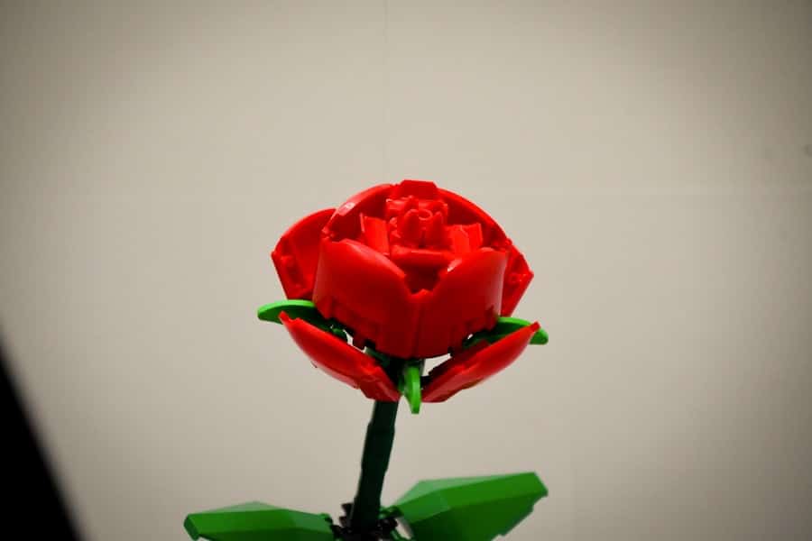 Photo LEGO flowers